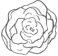 Weddings by Velas Resorts